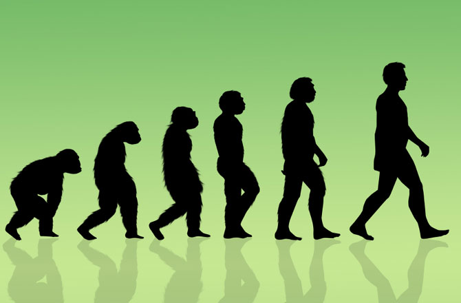 Through the Ages: Traversing the Evolutionary Landscape of Humanity
