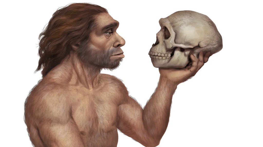 The Triumph of Homo Sapiens: The Top of the Food&nbsp;Chain